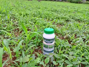 Maize PRO 1lt