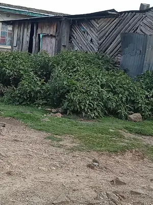 Plot on Sale at Karai Naivasha