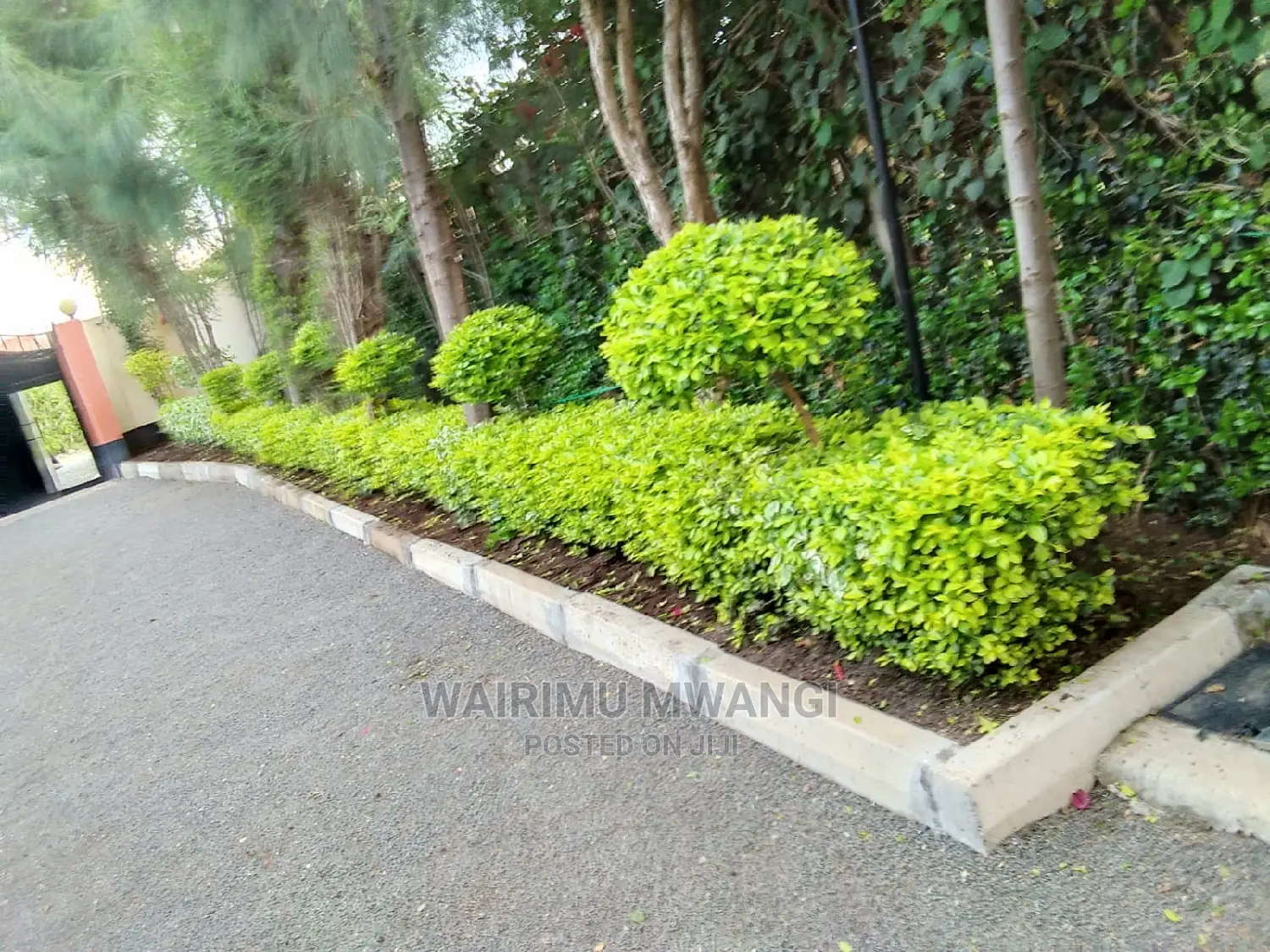 Landscaping and Gardening Services
