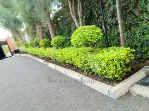 Landscaping and Gardening Services
