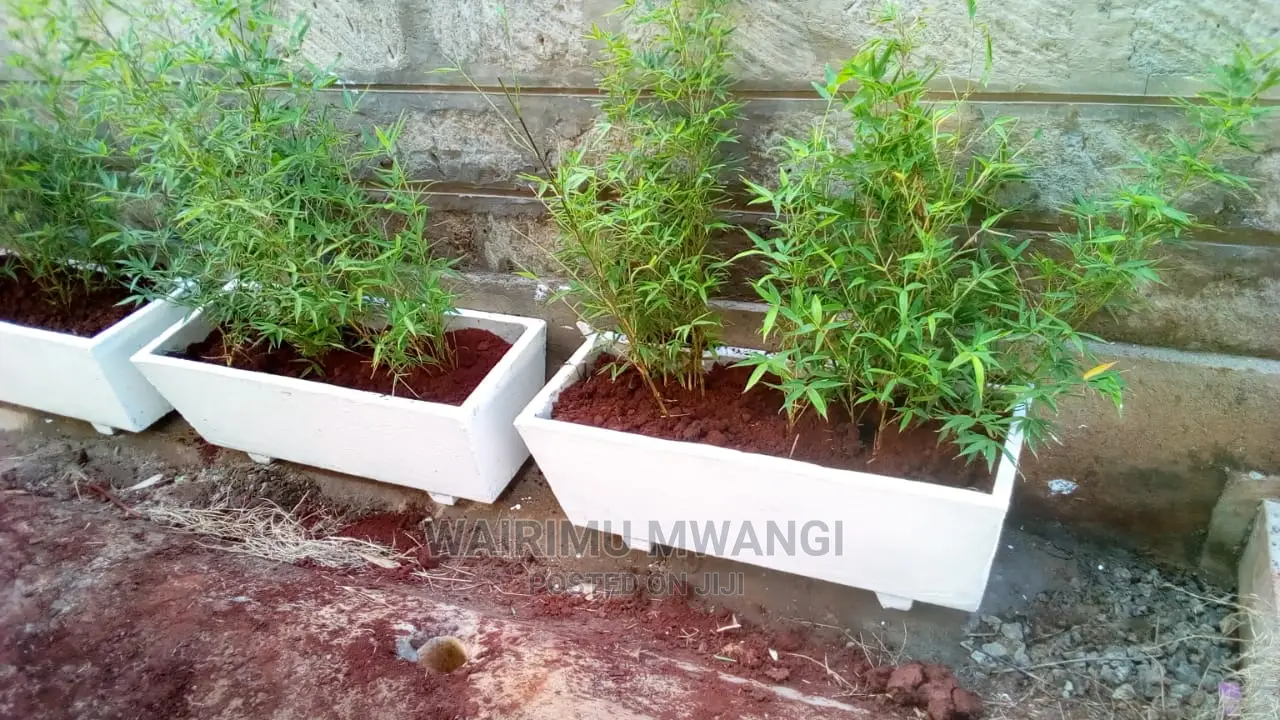 Landscaping and Gardening Services