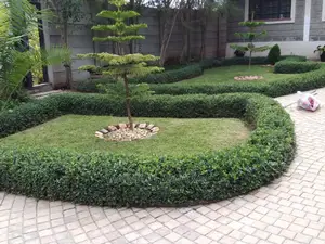 Landscaping and Gardening Services