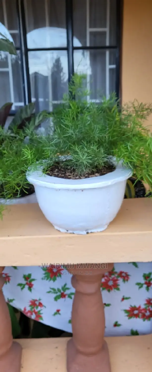 Landscaping and Gardening Services