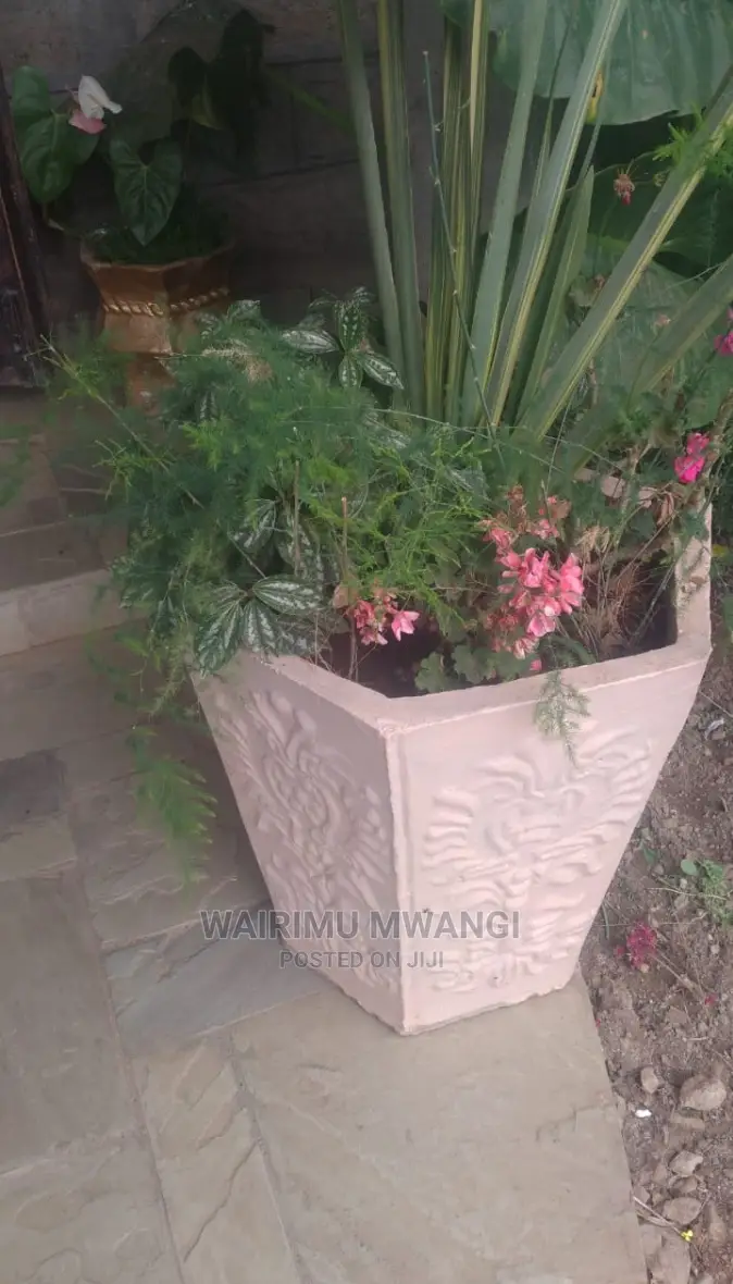 Landscaping and Gardening Services
