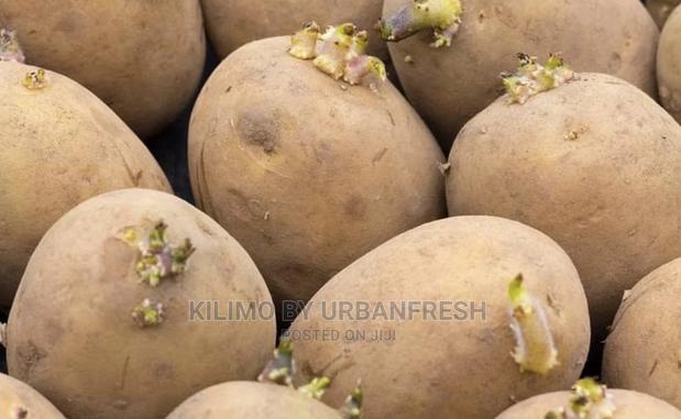Certified Potato Seedlings 50kg. Markie / Clean Challenger