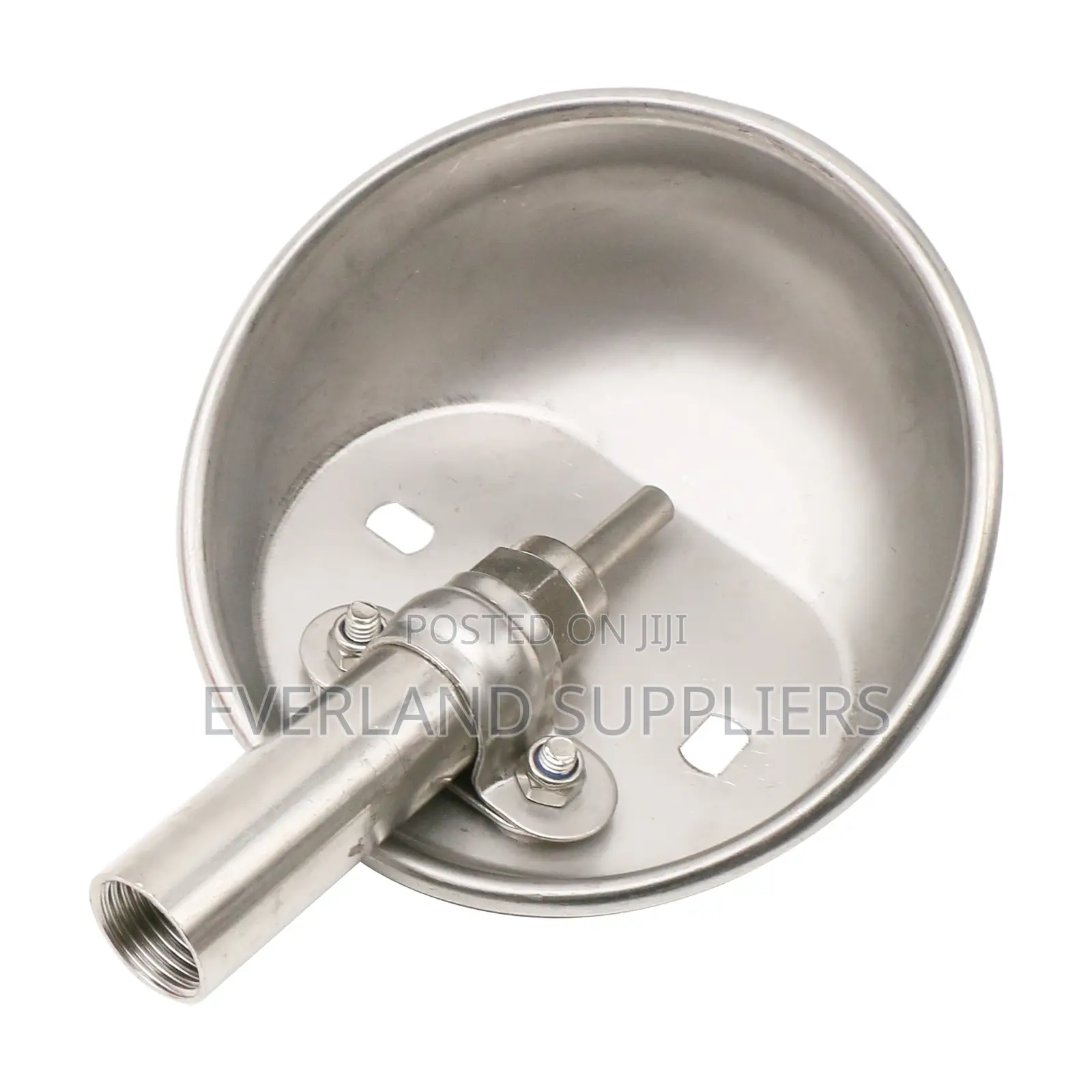 Pig Drinking Bowl- Automatic