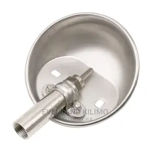 Pig Drinking Bowl- Automatic