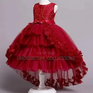 Kids Fancy Cinderella Dresses