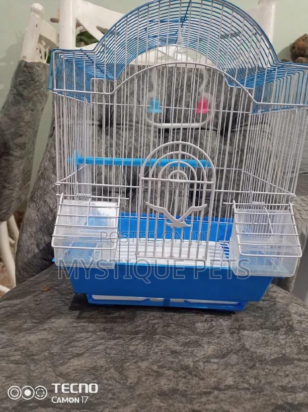 Small Bird Cages - thumbnail 3