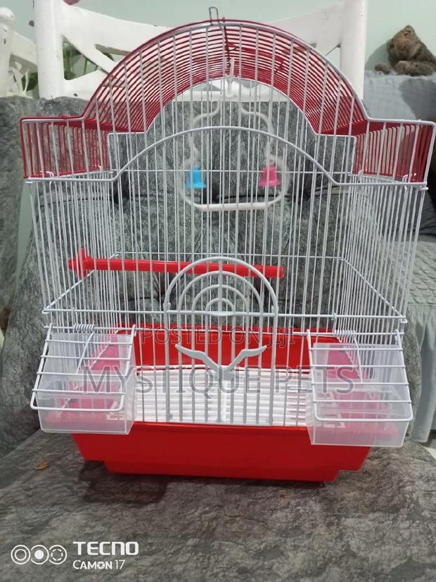 Small Bird Cages - thumbnail 5
