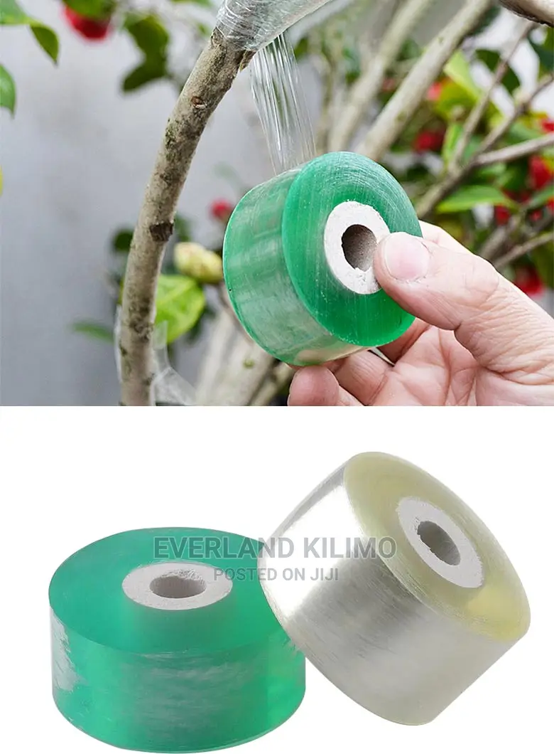 Graft Tape