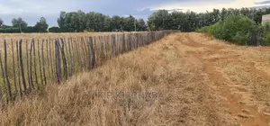 1 Acre Land for Sale in Kimumu Marura in Eldoret