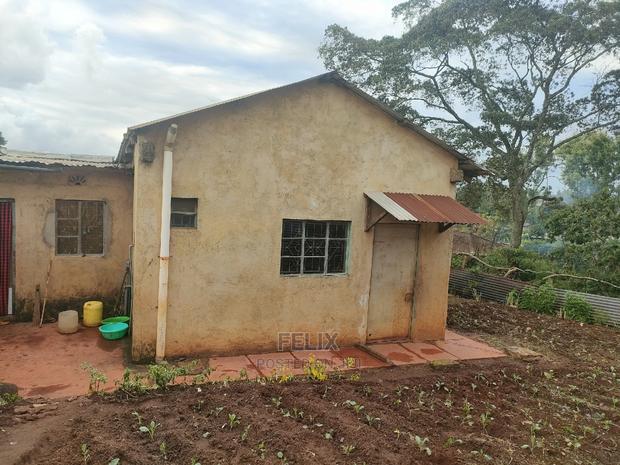 Karatina /Ragati 40/80 - thumbnail 4