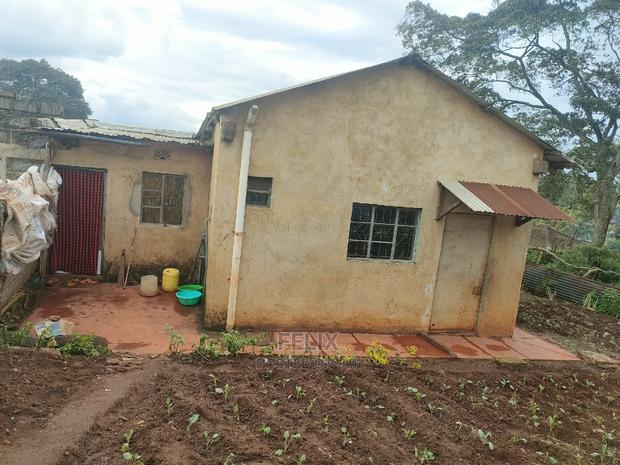 Karatina /Ragati 40/80 - thumbnail 5