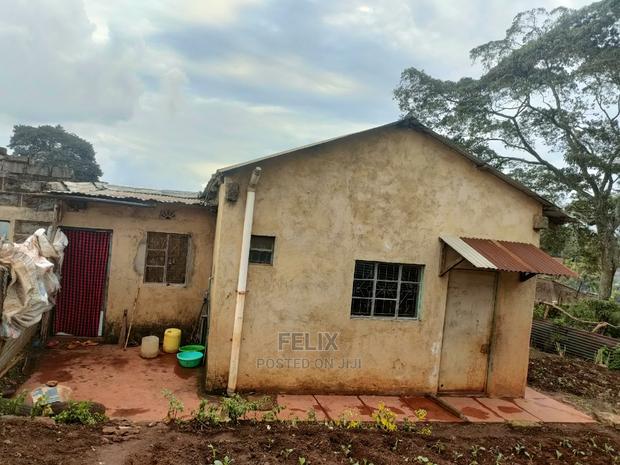 Karatina /Ragati 40/80 - thumbnail 7