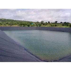 Fish Pond for Fish Farming