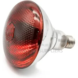 Infrared Bulb for Chicken Brooding