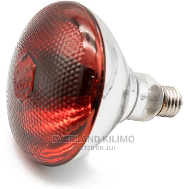 Infrared Bulb for Chicken Brooding - main view