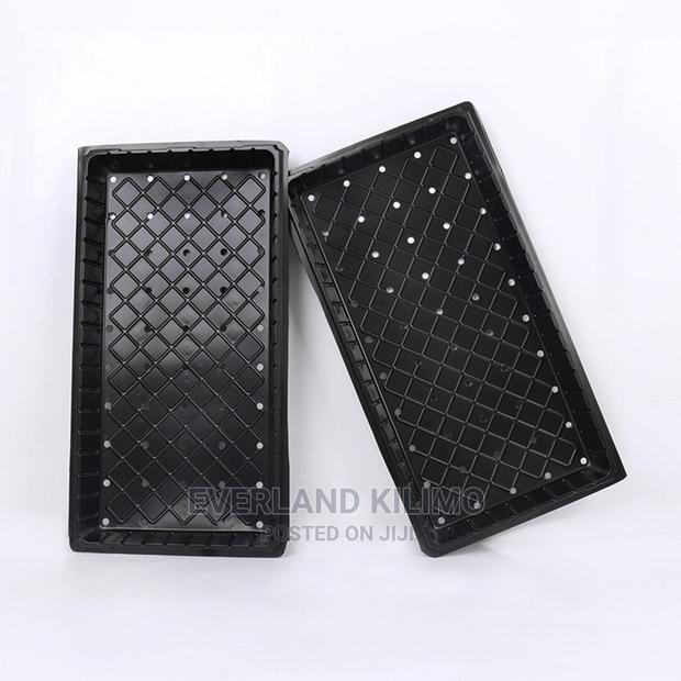 Hydroponic Trays- Perforated
