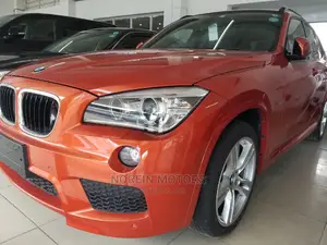 BMW X1 2015 Orange