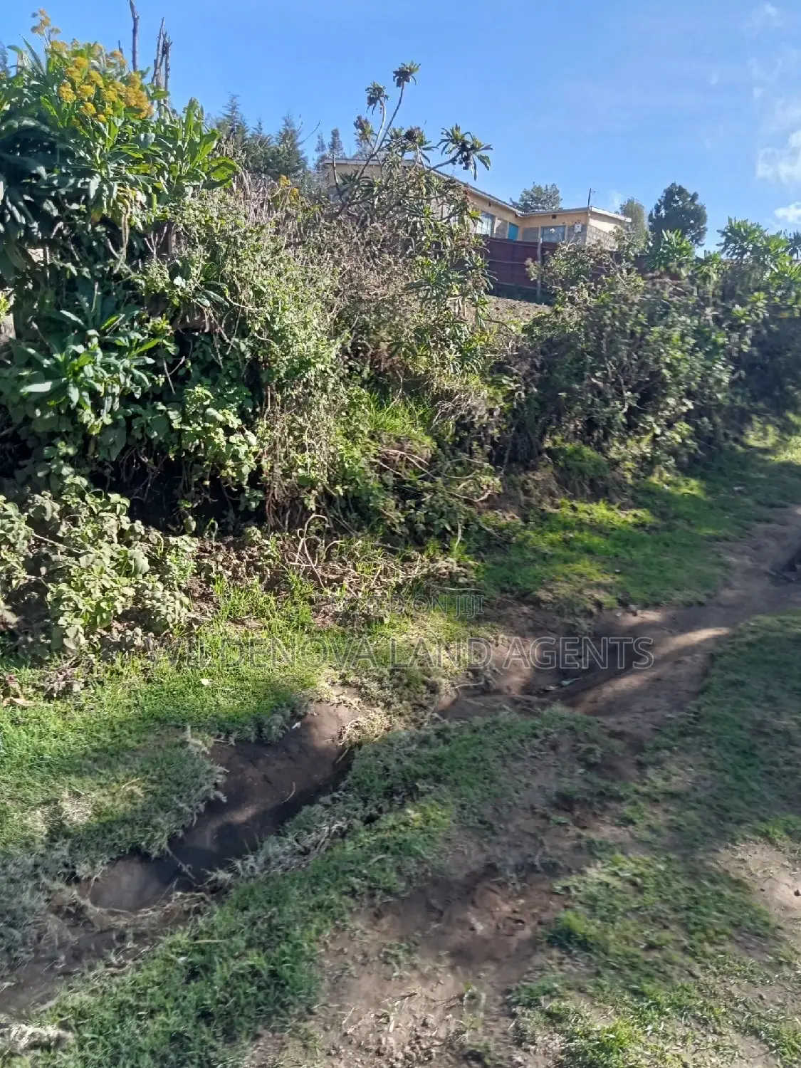 Land on Sale at Naivasha Ihindu