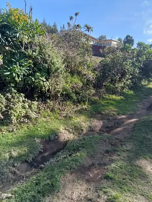 Land on Sale at Naivasha Ihindu