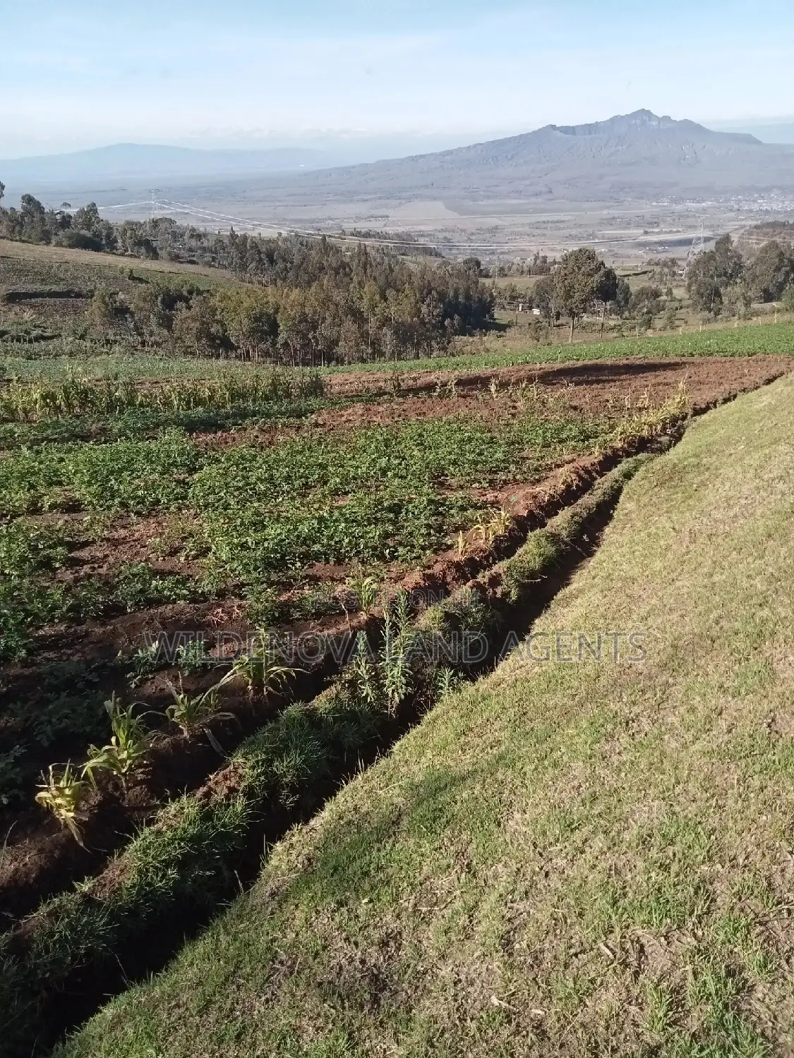 Land on Sale at Naivasha Ihindu