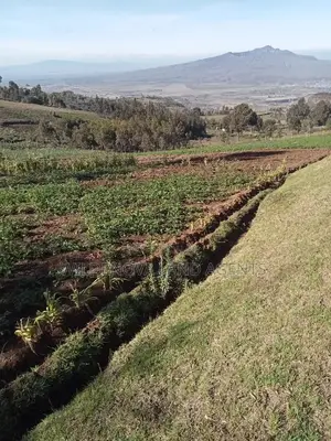 Land on Sale at Naivasha Ihindu
