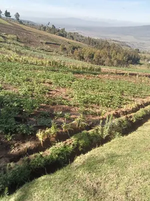 Land on Sale at Naivasha Ihindu