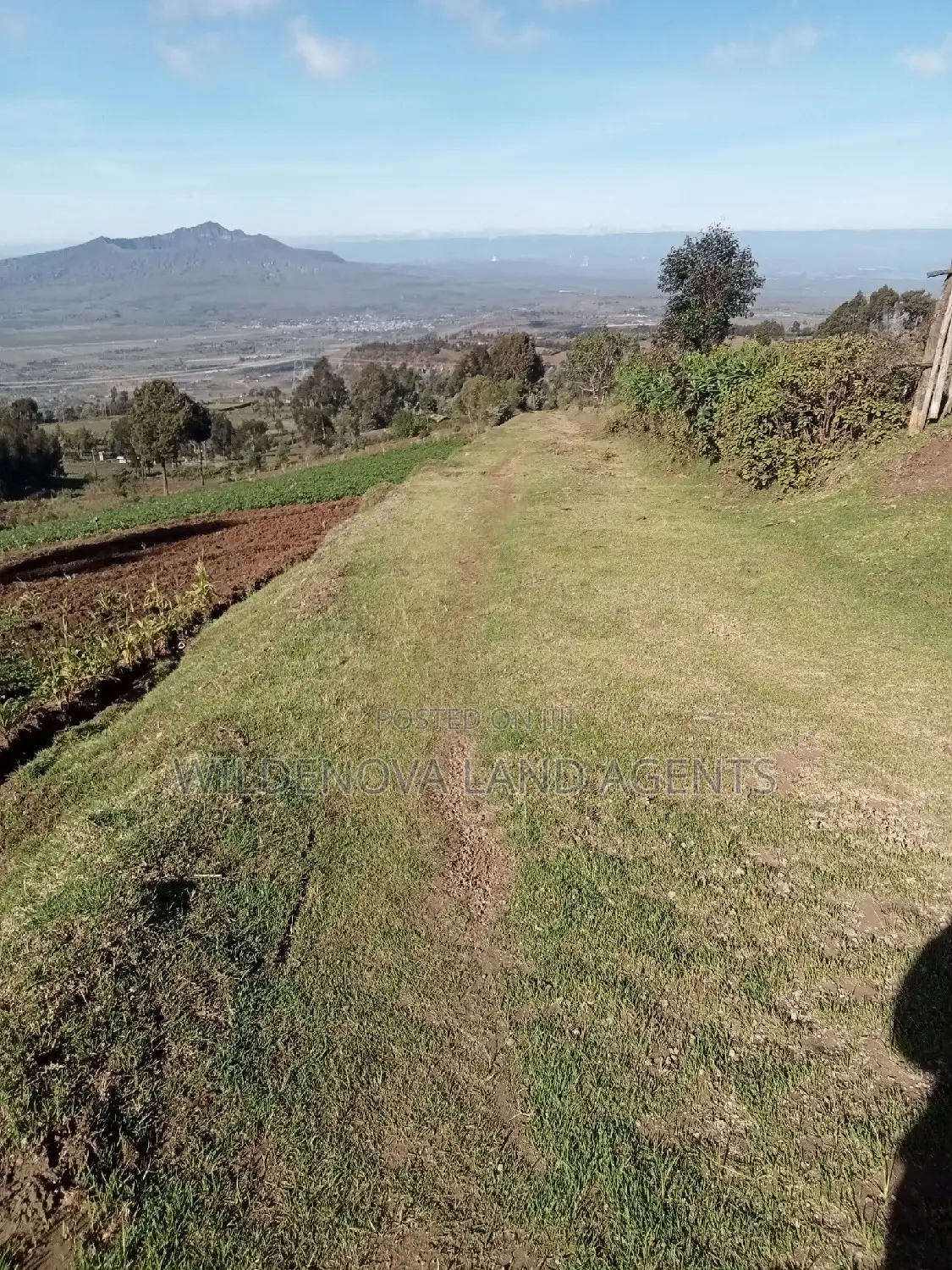 Land on Sale at Naivasha Ihindu