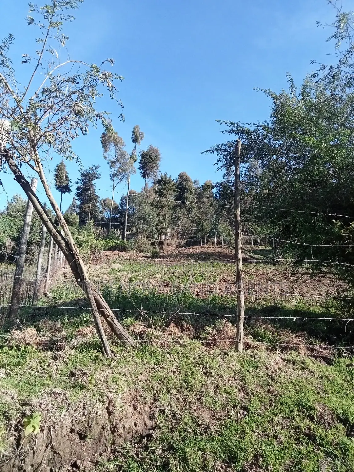 Plot on Sale at Naivasha Mwisho Wa Rami