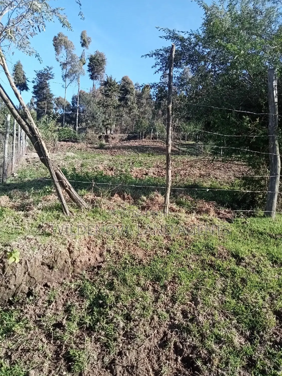 Plot on Sale at Naivasha Mwisho Wa Rami
