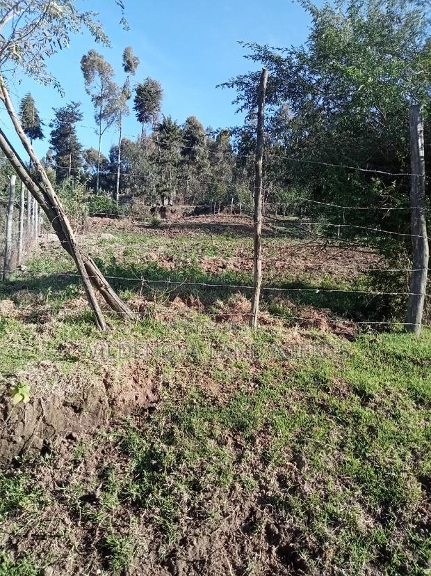Plot on Sale at Naivasha Mwisho Wa Rami - thumbnail 4