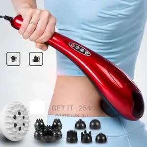 Dolphin Electric Massager