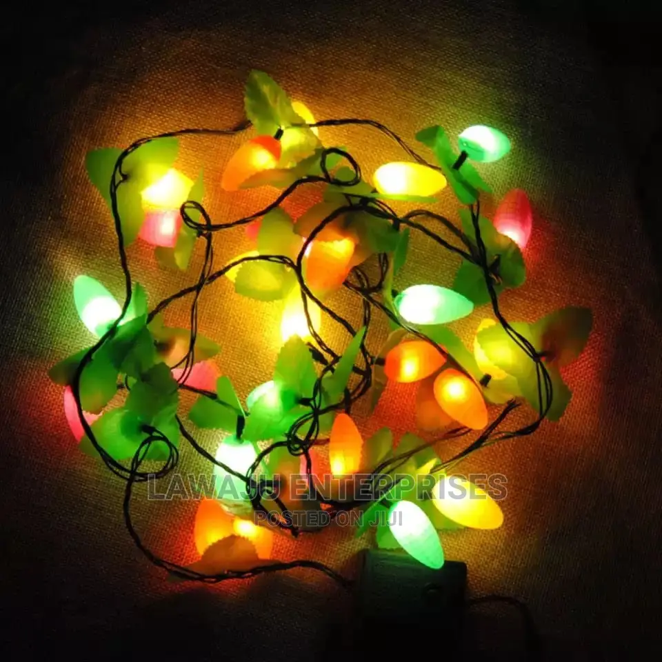 Christmas Fruit Lights - Small