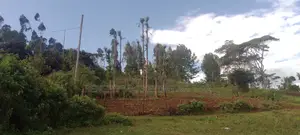 Ngong, Kahara Road, 2.5 Acres for Sale