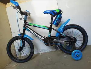 Blue Molibb Bike