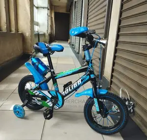 Blue Molibb Bicycle Size 12