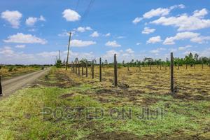 1/8 Acre Plots at ACK Juja Farm^PM - thumbnail 2