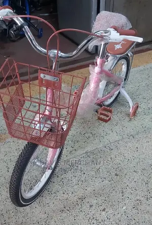 Girl's Bicycle Size 16