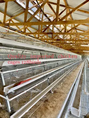 Quality Chicken Cages