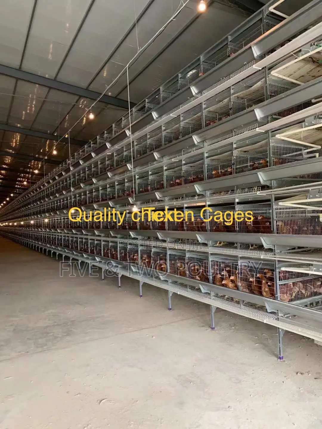 Galvanized Chicken Cages