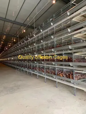 Galvanized Chicken Cages