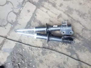 Suzuki Alto Shocks
