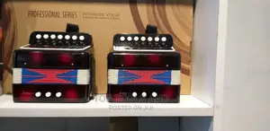 Button Accordion 10 Keys Control Accordion