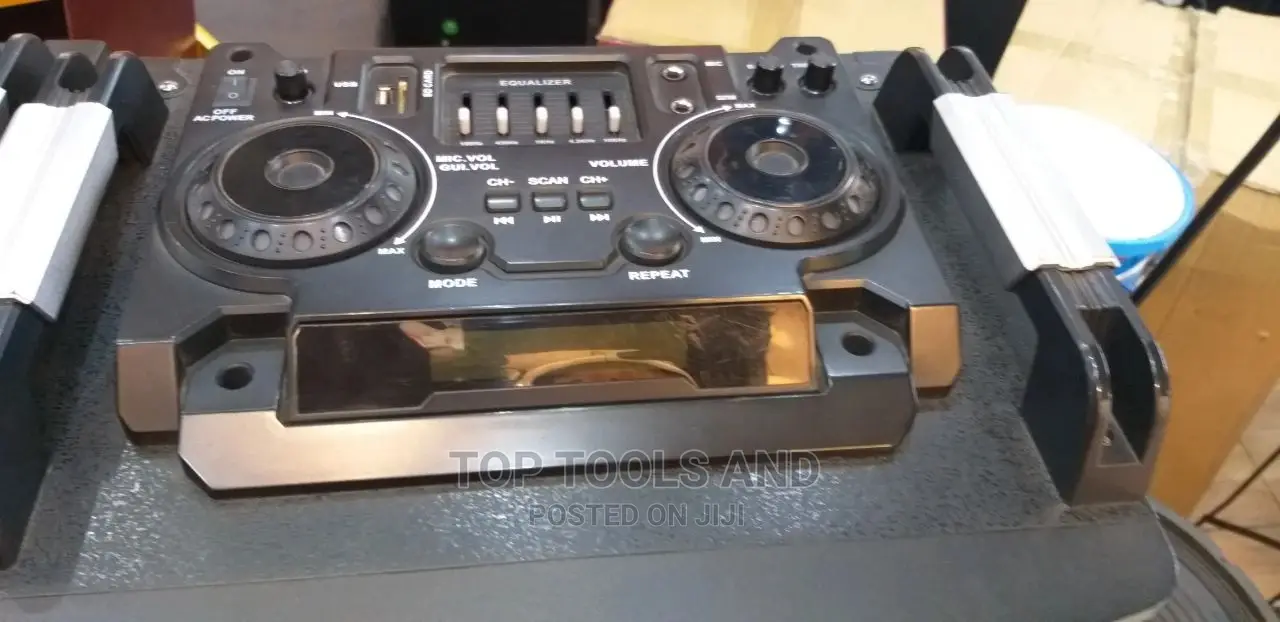 SKG Powered Speaker With Dj Mixer