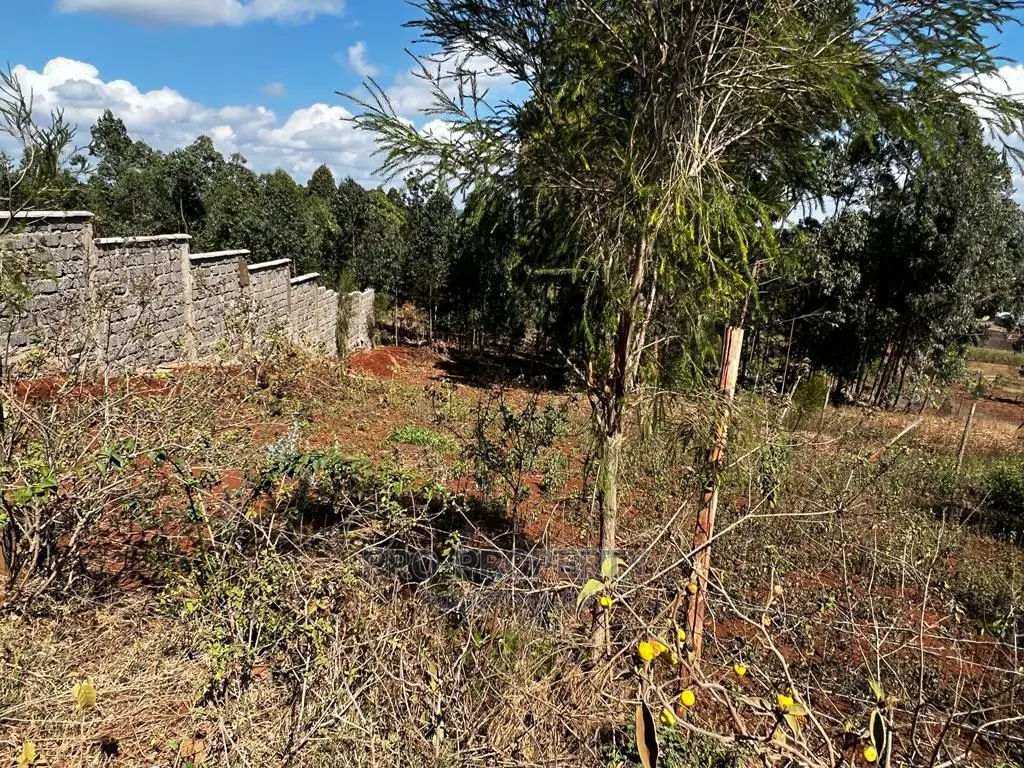 Prime 50 by 100ft Residential Plot for Sale in Kikuyukamangu