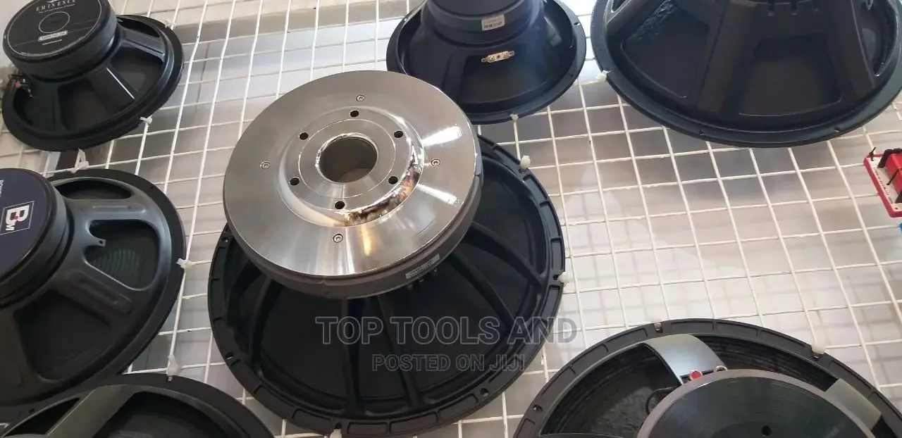 18 Inch Pd Naked Speaker