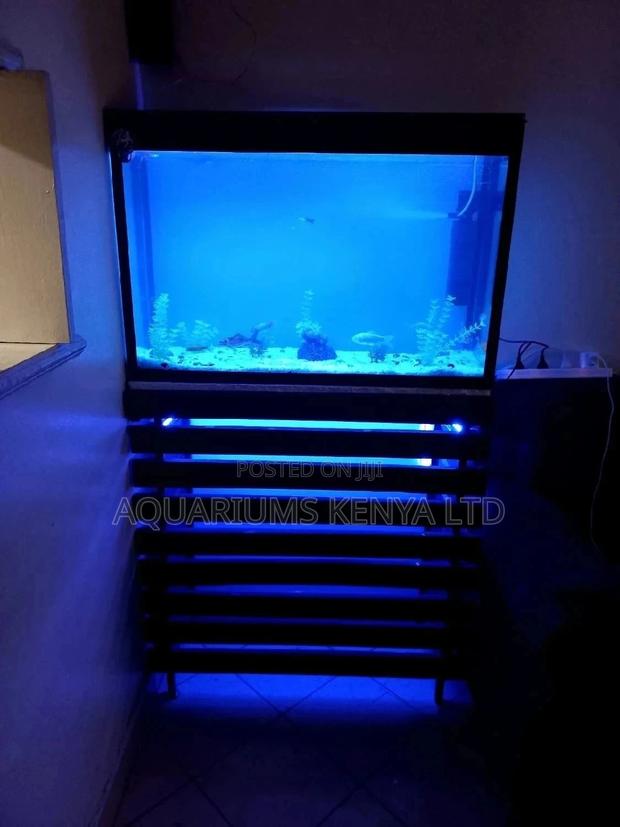 Aquarium With a Blue Lighting From the Stand - main view