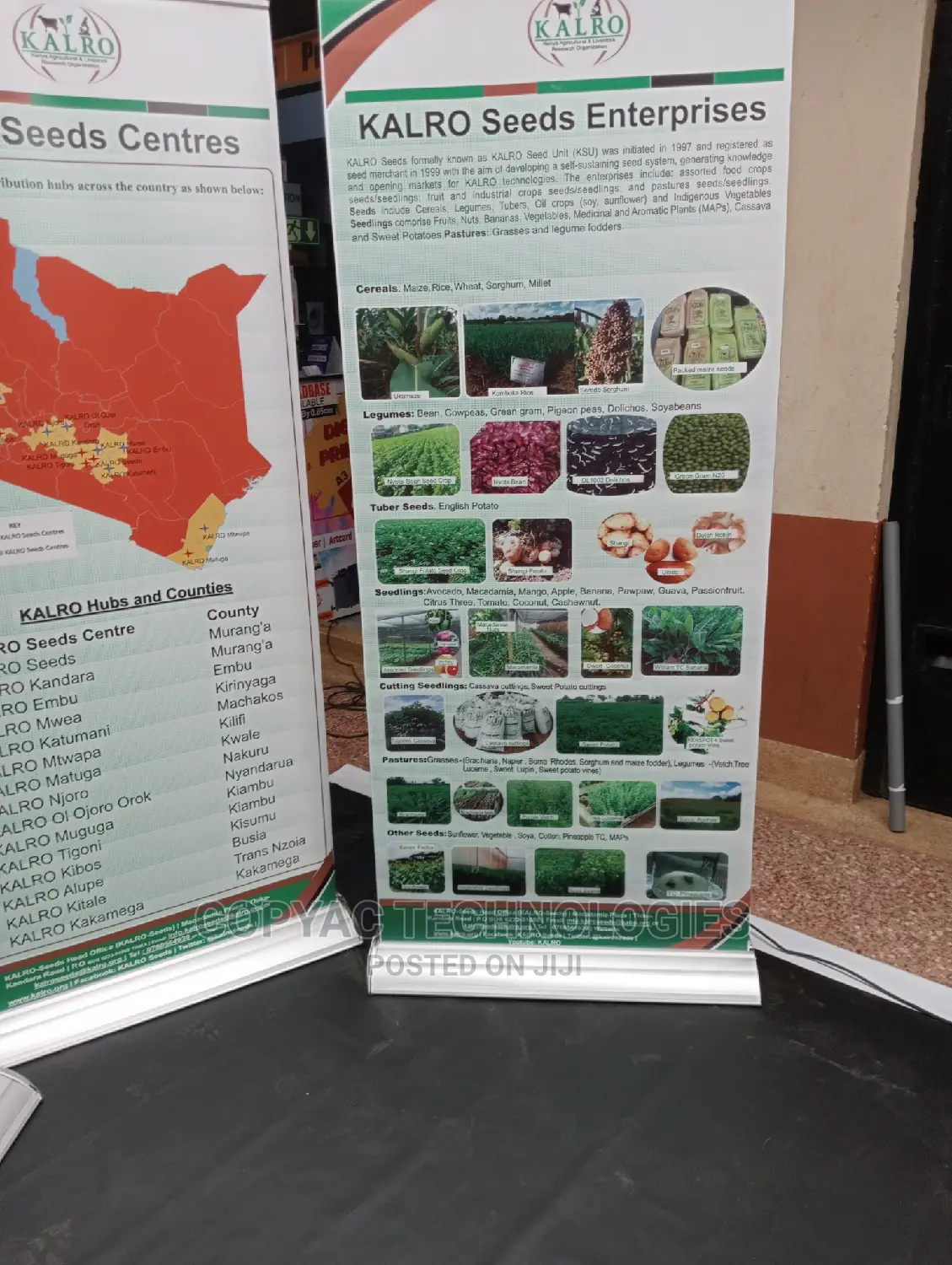 Offers on Rollup Banners Printing